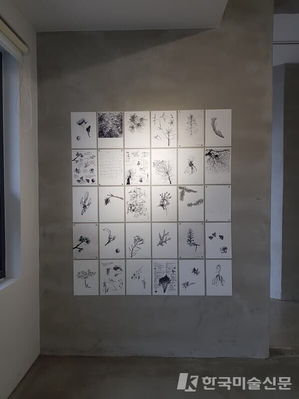 정소진, 기록, printing edition, 25x18cm(each), 2022 [사진=은꿩의다리]