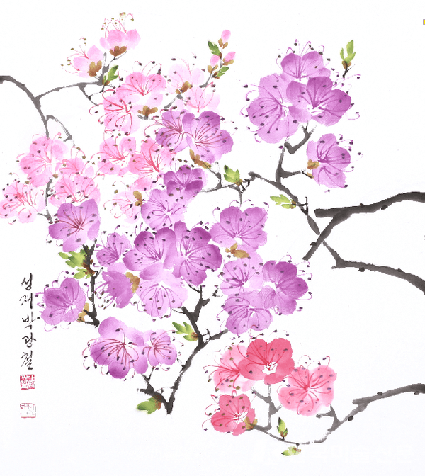 진달래꽃60x70cm 화선지에 수묵담채, 한국화 물감2021 ​