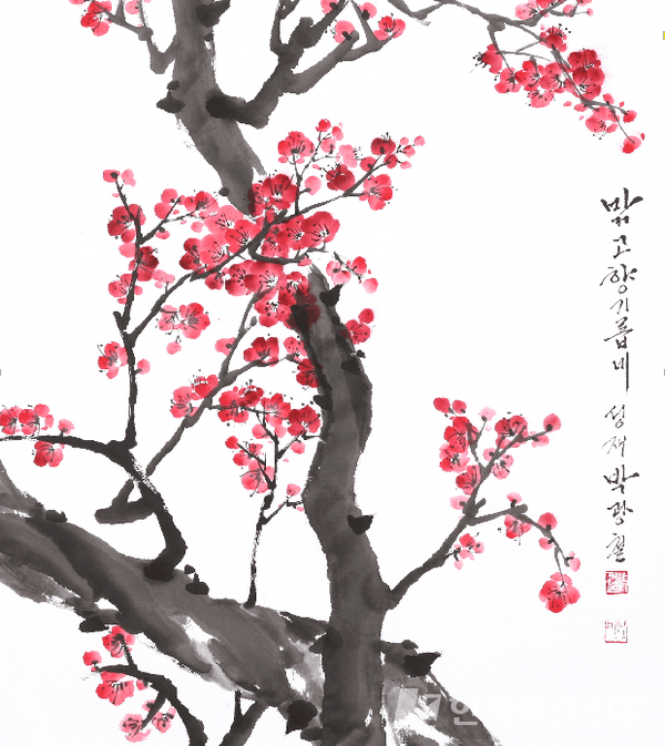 홍매화60x70cm 화선지에 수묵담채, 한국화 물감 2021