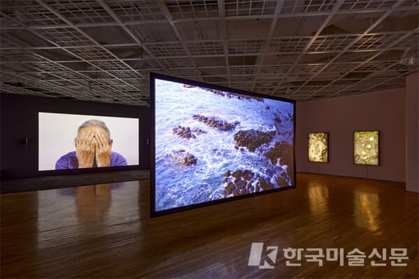 제인 진 카이젠 개인전 전경 [사진 제공 = 아트선재센터]