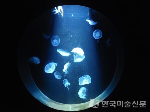 부산현대미술관의 &lsquo;그 후, 그 뒤&rsquo;전에 나온 독일 극단 리미니 프로토콜의 연극 퍼포먼스 설치작품 &lsquo;승 승&rsquo;. 실제 수조 속을 헤엄치는 바다 해파리가 객석의 관객 눈앞에 등장해 서로 대결하듯 마주 보는 구도가 펼쳐진다. 2017년 작으로 이번에 선보인 작품은 미술관이 부산아쿠아리움과 협력해 만든 한국판 에디션이다.