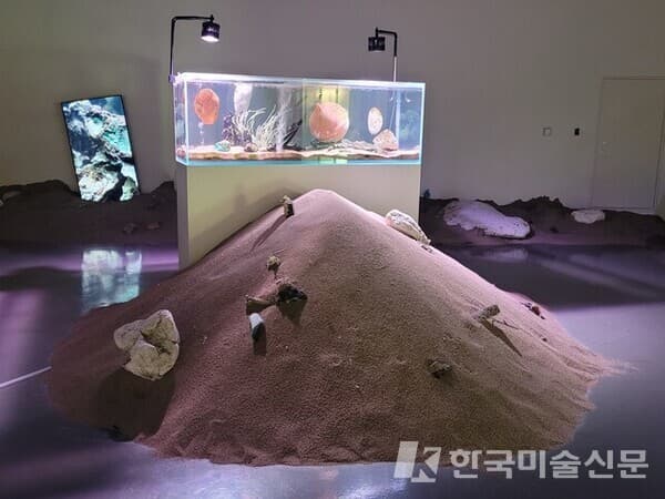 부산현대미술관 환경문제 기획전, '그 후, 그 뒤'