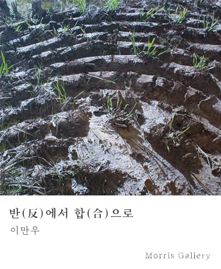 [평론] 이만우의 끝나지 않은 회화, 반(反)에서 합(合)으로