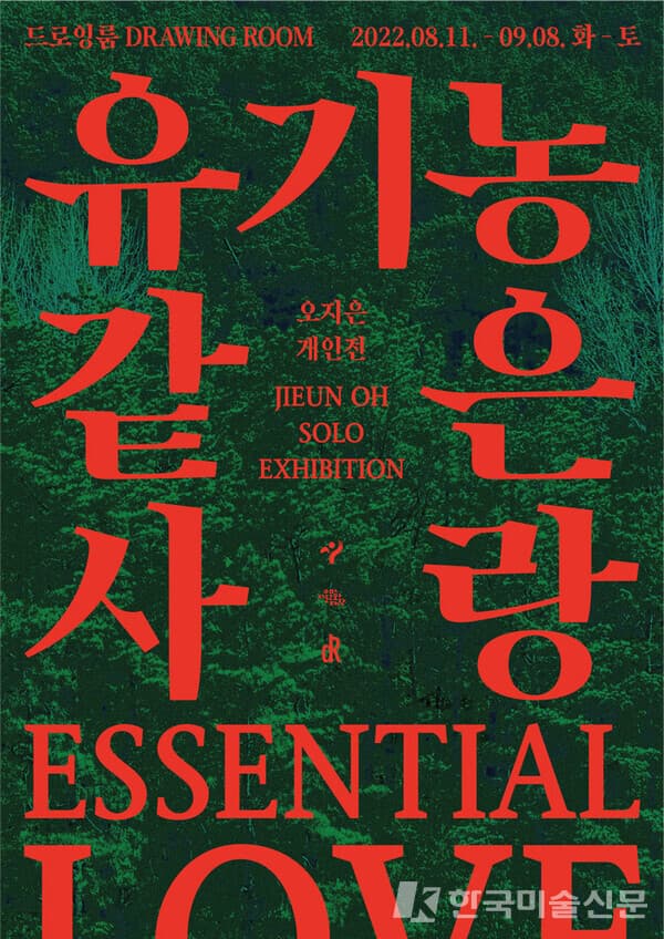 [평론] 쏟아지는 사랑의 미래