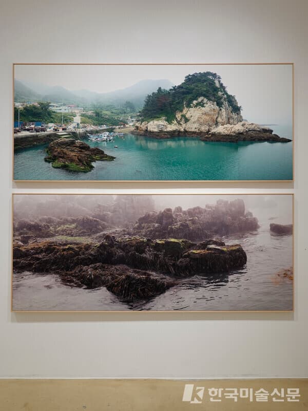 (위) , 2016. 피그먼트 프린트, 100x240cm. 흑산도 비리(아래) , 2018. 피그먼트 프린트, 100x240cm. 만재도 6월의 미역과 해초들