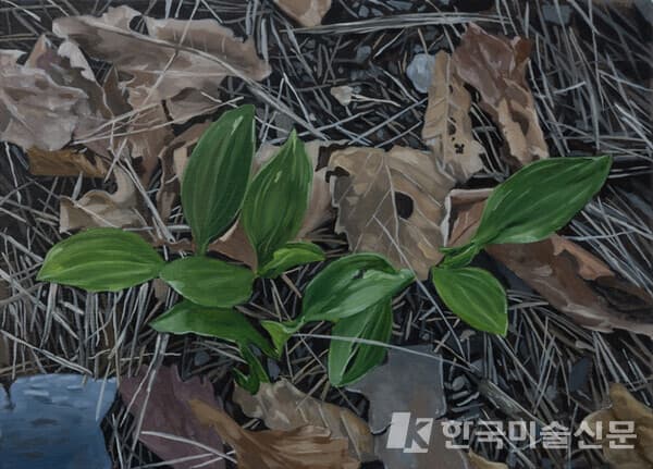 ▲&nbsp;황태하, 거름3Oil on Canvas, 33.4 x 24.2cm, 2022 (사진=디아트플랜트 요 갤러리)