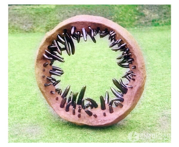 사진=전북도립미술관