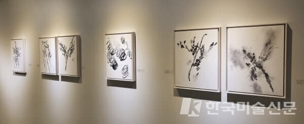 신영호 작가의 개인전인 &lsquo;리퀴드 드로잉(Liquid Drawing)&rsquo;전이 열리고 있는 전시장 전경.