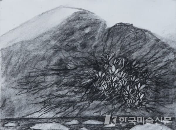 빙하와 풍란허윤희, 38x50cm, charcoal on paper, 2022