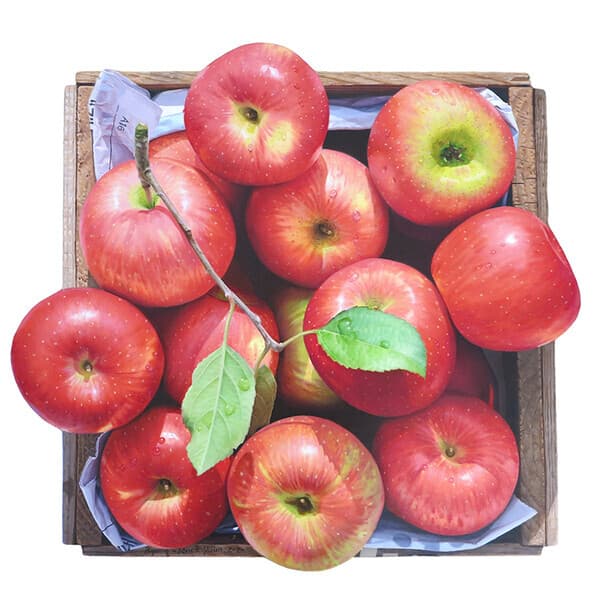 가을향기윤병락, 가을향기, 53x50cm, 한지에유채, 2020 (사진=화랑갤러리협회)