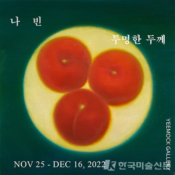 나빈 개인전, 투명한 두께