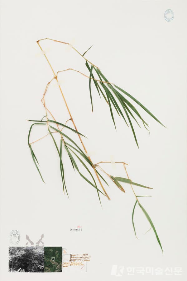 Formosa Project-P062021, Archival pigment print on collage, gouache, watercolor, stamp ink, 180 x 120 cm