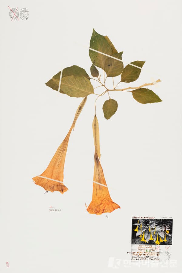 Formosa Project-T112021, Archival pigment print on collage, gouache, watercolor, stamp ink, 180 x 120 cm