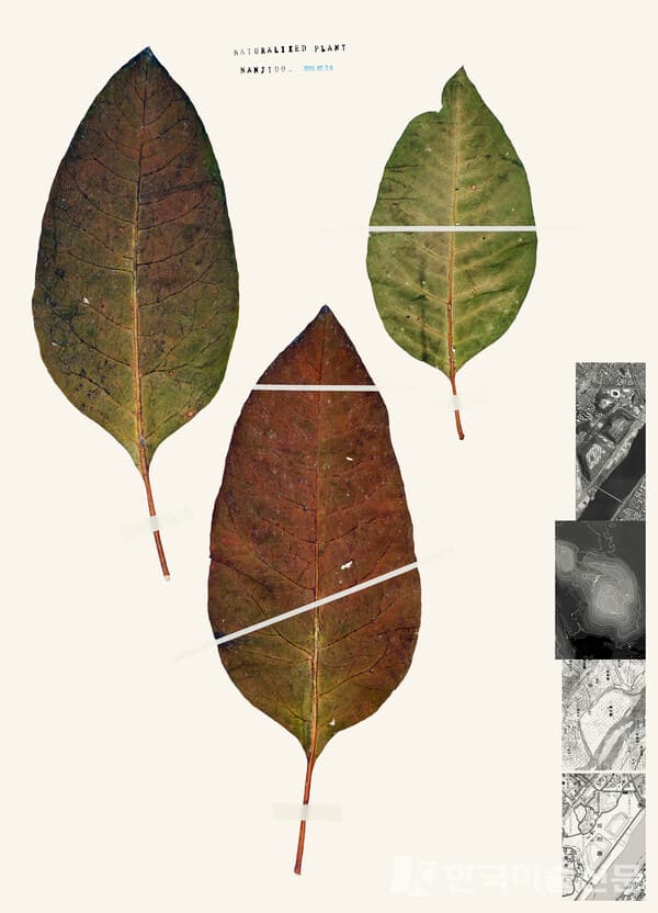 난지도15-01-22015, Archival pigment print on water-based paint, pencil, stamp Ink, 108 x 77 cm