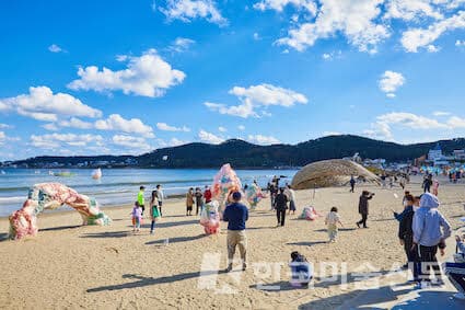 부산비엔날레조직위원회, 2023바다미술제 전시감독 국제공모