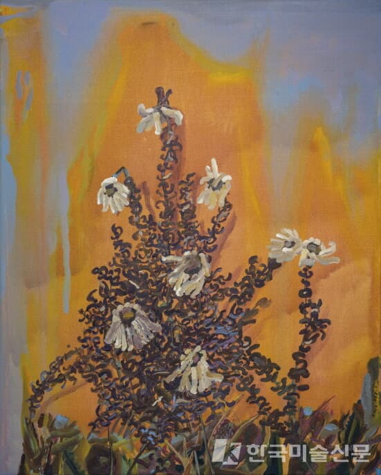 오늘의 꽃Acrylic on canvas 90.9x72.7cm 2022