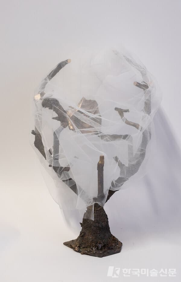 Trace eye2023, Bronze, Tulle, 27 x 23 x 40(h)cm