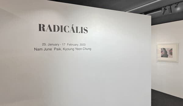 RADIC&Aacute;LIS&nbsp;Installation View_01, 2023, Seoul, Seogallery.