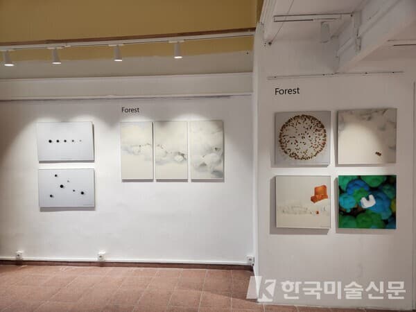 사진=작가 제공