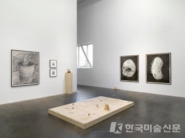 Installation View of the "the 5th New Museum Triennial : Soft Water Hard Stone" 2021