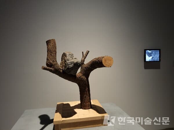 &nbsp;자신이 새라고 배운 돌, 2010. ⓒ김범. (사진=이미희 기자)
