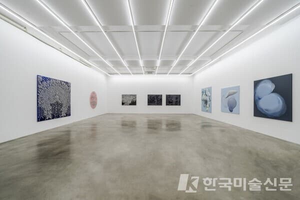Romantic Reflexes 낭만적 반사