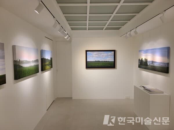노현우 개인전 전시전경. 출처 - 아트코드갤러리_2023