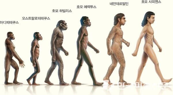 &copy;️ 네이버 지식백과