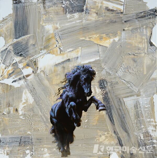 Life - 生 (생)&nbsp;生 (65&times;65cm, oil on canvas, 2024)