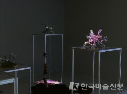 김용원,&nbsp;잃어버린&nbsp;풍경의&nbsp;반영&nbsp;&ndash;&nbsp;파편의&nbsp;연대기,&nbsp;2024,&nbsp;가변&nbsp;크기,&nbsp;혼합&nbsp;매체