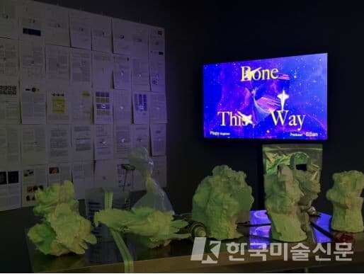 Disk_Area,&nbsp;Bone&nbsp;This&nbsp;Way,&nbsp;2023,&nbsp;가변&nbsp;크기,&nbsp;혼합&nbsp;매체