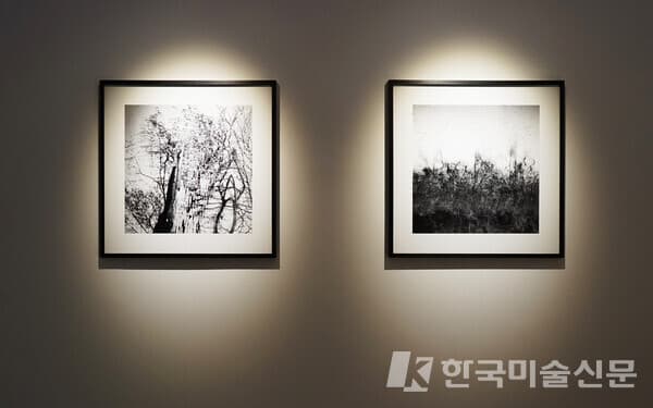 이송희 작가 작품. 이소이 기자