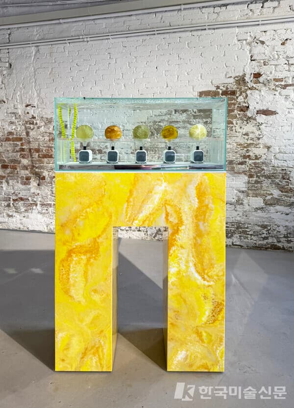 &lsquo;TREVOR YEUNG : Courtyard of Attachments, Hong Kong in Venice&rsquo; 전시 전경. 사진. 이소이 기자