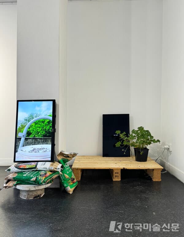 KIM Jina, The Garden of Words, 2024, vid&eacute;o diptyque en boucle, 사진. 진승우 기자