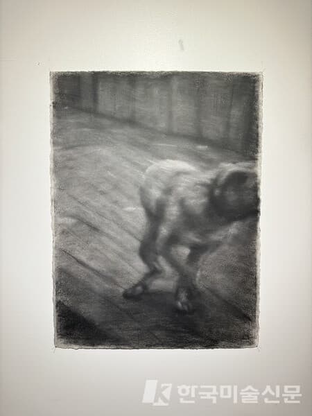용선, 추락, 2024, 종이에 목탄, 파스텔, 76 x 57 cm&nbsp;(사진=이소이 기자)