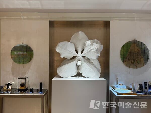 1층 전시 전경, 향수와 함께 전시된 박채 달&비올 작품 (사진=이소이 기자)