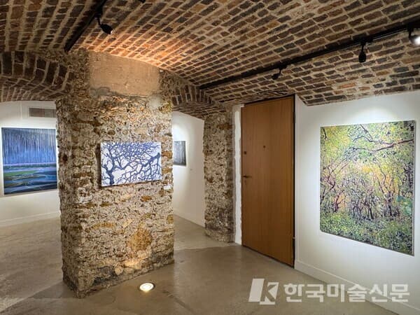 전시 전경 (사진=이소이 기자)
