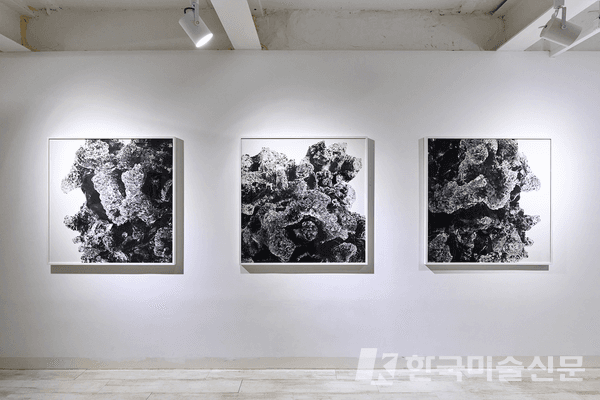 &nbsp;갤러리 전경 (제공=이웅철 작가)