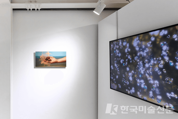 갤러리 전경 (제공=이웅철 작가)