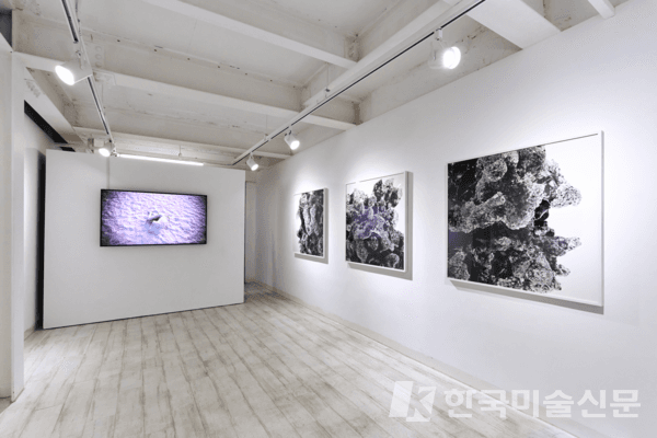갤러리 전경 (제공=이웅철 작가)