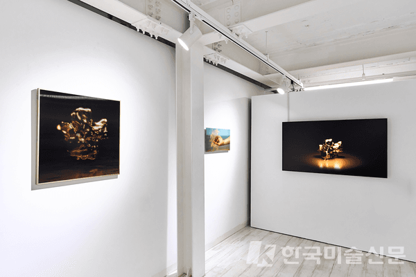 갤러리 전경 (제공=이웅철 작가)