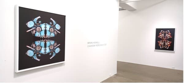 사진 제공 = 브라이언 하웰 & 갤러리 존스 (All images courtesy of Brian Howell & Gallery Jones)