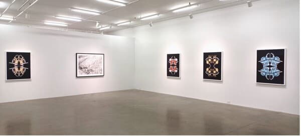 사진 제공 = 브라이언 하웰 & 갤러리 존스 (All images courtesy of Brian Howell & Gallery Jones)