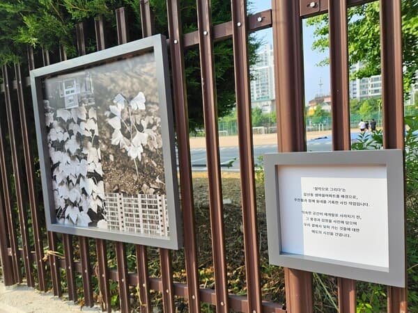 [사진=안양시 제공]
