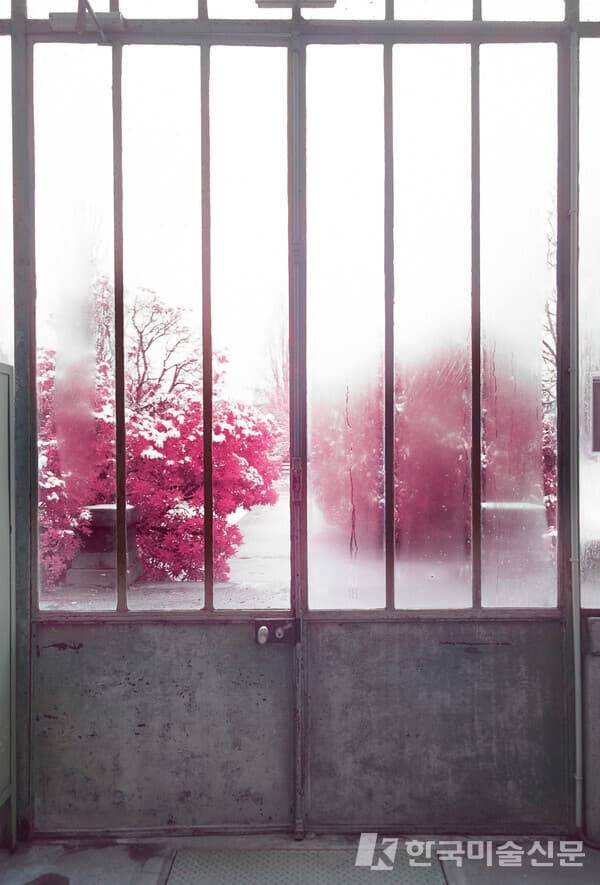 Jardin Invisible&nbsp;n&deg;1&nbsp; 121 x 82.31 cm / Infrared lens + Canon / RCP Glacier 300 gsm / 2018 (사진제공 : 케이리즈갤러리)