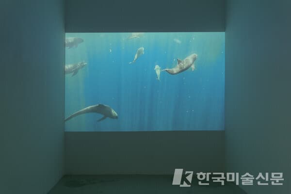 전시전경 (사진=이정우스튜디오 @bulbutus)