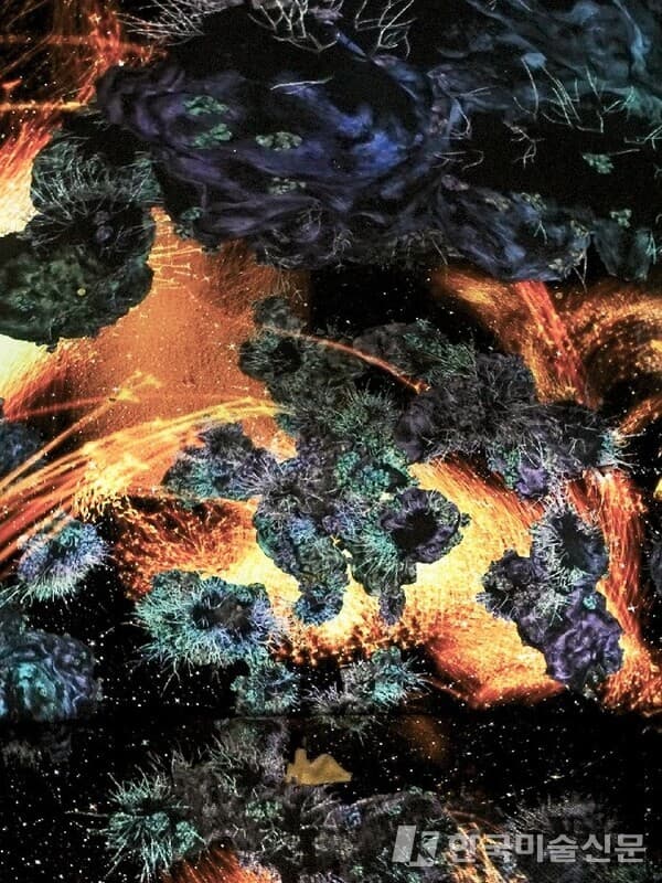 Biocosmos [사진=teamLab Phenomena Abu Dhabi웹사이트]