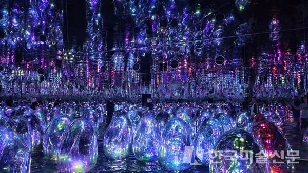 Floating Microcosms, teamLab Phenomena Abu Dhabi [사진=김소전]