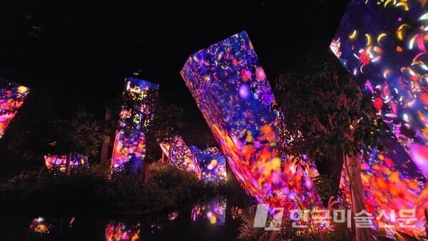 teamLab Phenomena Abu Dhabi [사진=김소전]