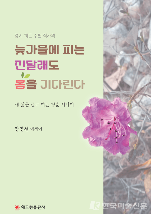 『늦가을에 피는 진달래도 봄을 기다린다』 수필가 양 영 선 대담